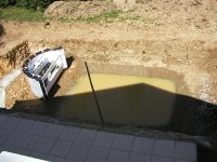 P8051947 * 2272 x 1704 * (2.01MB)