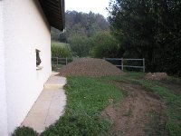 P9282197 * 2272 x 1704 * (2.05MB)