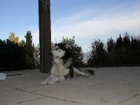 PA242284 * 2272 x 1704 * (2.56MB)