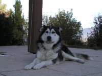 PA242285 * 2272 x 1704 * (2.33MB)